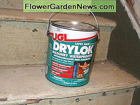 Eine Dose Drylok (R) Mauerwerksabdichtungsfarbe sitzt geduldig auf alten Holztreppen. A can of Drylok (R) masonry waterproofing paint sits patiently on old wooden stairs.