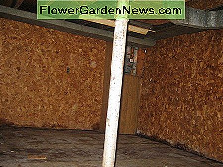 Hier sieht man, wie Schimmel und Schimmel an der Basis der Kellerwand aussieht. Here is what mold and mildew damage looks like at the base of the basement wall.