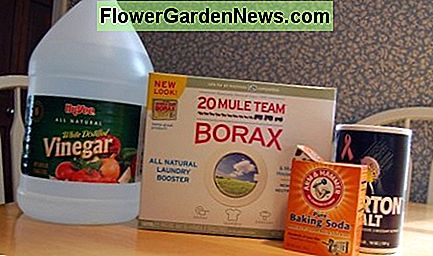 Verwenden Sie die Haushaltsprodukte, um muffige Kellergerüche loszuwerden Use the household products to get rid of musty basement smells
