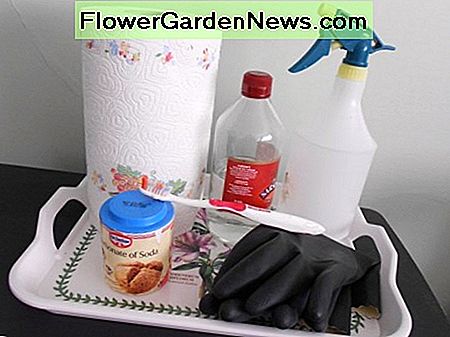 ชุดโฮมเมดของฉันสำหรับลบกลิ่นปัสสาวะสุนัขจากพรม! My homemade kit for removing dog urine odor from carpet!