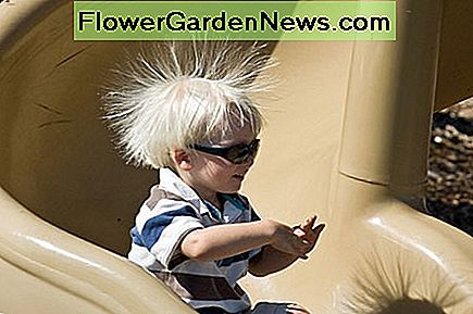 Statische Elektrizität in den Haaren dieses kleinen Jungen macht ein lustiges Bild, es macht nicht so viel Spaß, wenn statische Elektrizität dazu führt, dass deine Kleidung bei dir bleibt! Static Electricity in this little boy's hair makes a fun picture, it's not so much fun having static electricity cause your clothes to stick to you though!