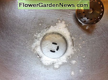 โรยหน้าใน Baking Soda Sprinkle in Baking Soda