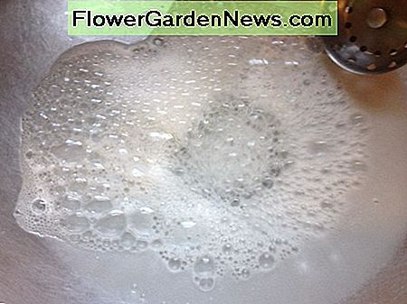 โซดาและน้ำส้มสายชูทำปฏิกิริยา Baking Soda and Vinegar react