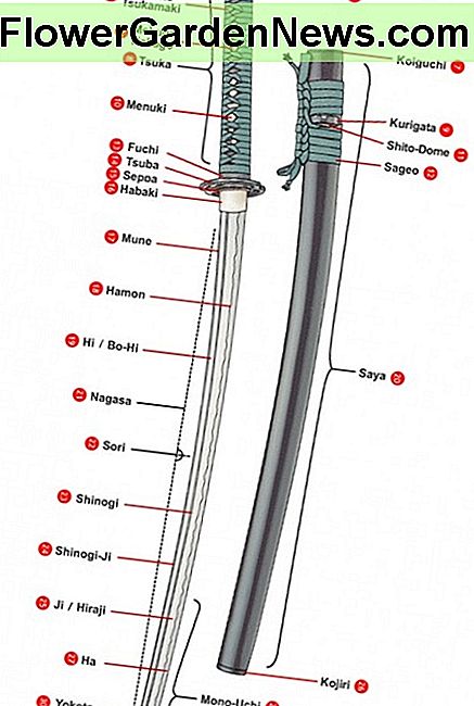 Beschriftete Teile eines japanischen Katana und Saya. Labelled parts of a Japanese katana and saya.