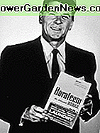 Net Reaganas buvo boraso ventiliatorius. Akivaizdu. Even Reagan was a borax fan. Evidently.