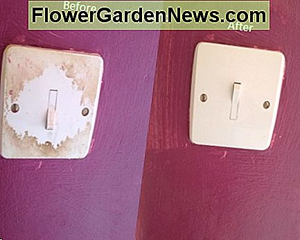 Comutatoarele de lumină sunt adesea trecute cu vederea când se curăță. În timp, uleiurile și transpirația de pe degete pot lăsa pete pe spate. Light switches are often overlooked when cleaning. Over time, the oils and sweat from fingers can leave stains behind.