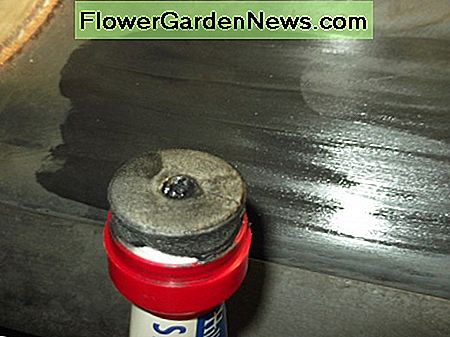 Dieses Produkt, in Australien hergestellt, heißt 'Shine On' und ich mag es besonders, weil es in einer Tube mit einem eingebauten Applikator kommt. Sie müssen es immer noch mit einem Papiertuch oder einem Tuch einreiben, aber es ist einfach, dünn aufzutragen. This product, made in Australia, is called 'Shine On' and I particularly like it because it comes in a tube with a built-in applicator. You still have to rub it in with a paper towel or cloth, but it is easy to apply thinly.
