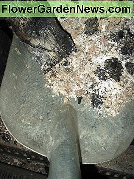 Ich lebe vom Raster, also entscheide ich mich, Asche und Kohle mit einer kleinen Metallschaufel zu entfernen. Vermeiden Sie Plastik. Sie wollen keinen Unfall mit heißer Glut. I live off the grid so I choose to remove ash and charcoal with a small metal shovel. Avoid plastic. You don't want an accident with hot embers.
