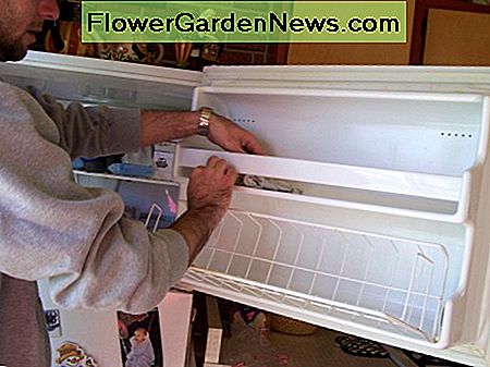 Verplaats het voedsel van de deur naar de kast en maak de deurrekken schoon. Move the food from the door to the cabinet and clean the door shelving.