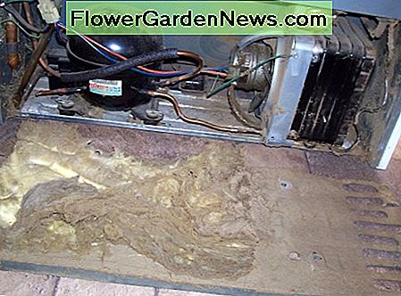 Deze stofopbouw is helemaal niet goed voor onze koelkastonderdelen. This dust build up is no good at all for our refrigerator parts.