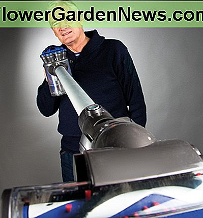 James Dyson, išradėjas, su James Dyson, the Inventor, with the Amazing Dyson DC35 Digital Slim