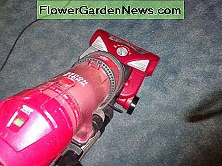 สูญญากาศหลังจากที่พรมแห้ง vacuum after the carpet has dried