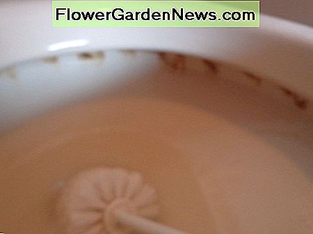 nuvalykite Borax visame tualeto indelyje ir ratlankyje scrub the Borax all around the toilet bowl and the rim