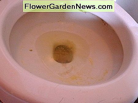 Jei reikia, nuplaukite tualetą su puseliu citrinos arba pridėkite 3 šaukštus citrinų sulčių į Borax vandenį ir vėl šveisti If needed, scrub the toilet with half of a lemon or add 3 tablespoons of lemon juice to the Borax water and scrub again