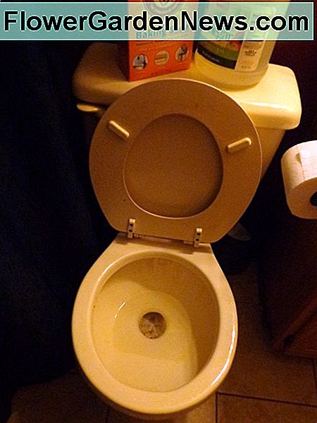tualetas # 2 su actu ir kepimo soda toilet #2 with vinegar and baking soda