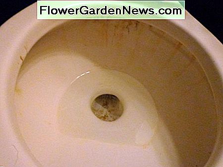 nuleiskite tualetą prieš pradėdami flush the toilet before you start