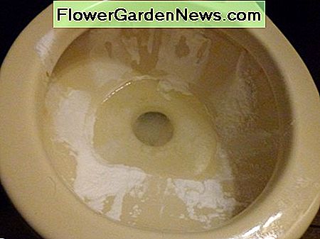 pabarstykite soda ll apatinę tualeto dubenėlio dalį sprinkle baking soda ll around the top part of the toilet bowl