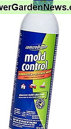 Concrobium 027/400 Mold Control Aerosol, 14 oz