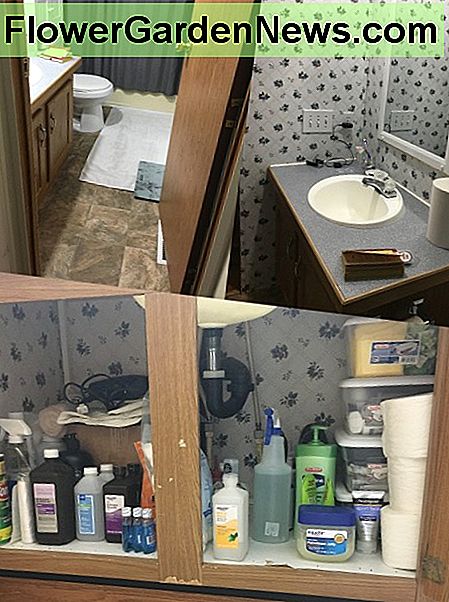 Mein Badezimmer war sauber und gut organisiert. My bathroom clean and organized.