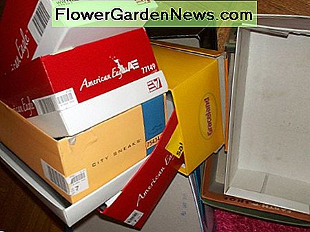 รีไซเคิลกล่องรองเท้าของคุณ Recycle your shoe boxes.