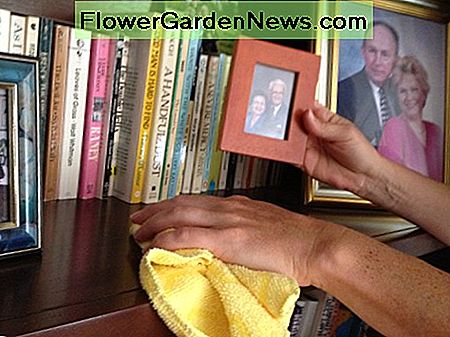 Verwenden Sie ein feuchtes Mikrofasertuch zum Staubwischen. Use a damp microfiber cloth to dust.