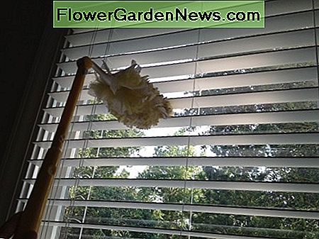 Swiffers sind gut zum Abstauben von Jalousien. Swiffers are good for dusting blinds.