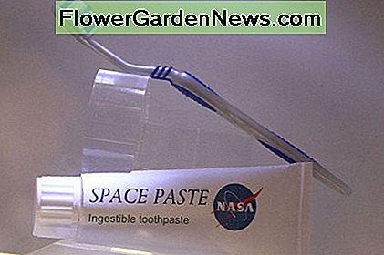 ยาสีฟันสีขาวล้วน พบแบรนด์ทั่วไปในร้านค้าของคุณบนโลก Plain White Toothpaste. Common brands are found in your stores on Earth.