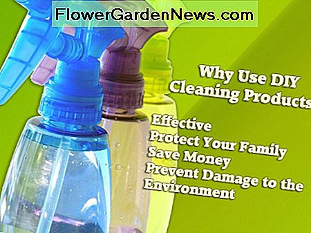 Hausgemachte Reinigungsprodukte sind sicherer für Ihre Familie und einfacher für Ihren Geldbeutel. Homemade cleaning products are safer for your family and easier on your wallet.