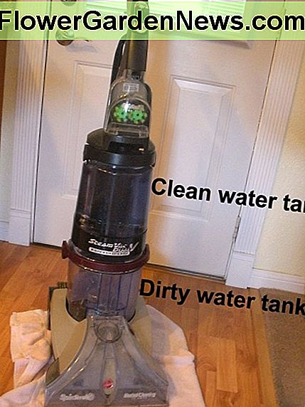 Die meisten Shampoo-Maschinen haben zwei Tanks Most shampoo machines have dual tanks