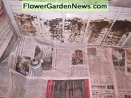 Verteilen Sie Zeitungen, um Teppiche und Wände zu schützen. Spread newspapers out to protect carpet and walls.