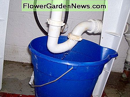 วางถังไว้ใต้กับดักเพื่อจับน้ำ Place a bucket under your trap to catch the water.