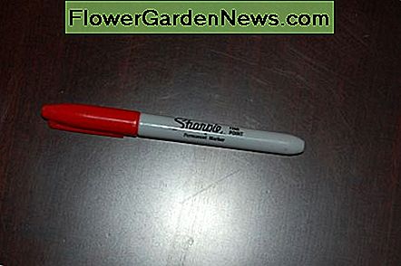 Red sharpie, kuris buvo naudojamas rašyti ant mūsų baltos sienos Red sharpie that was used to write on our white walls