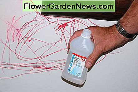 Valantis alkoholis, kurį mes naudojome pašalinti raudoną žymeklį ant mūsų baltos sienos. The rubbing alcohol we used to remove the red marker on our white wall.