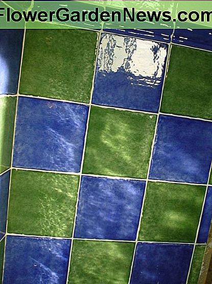 Vergessen Sie nicht, sich auch um Ihre Fliesen zu kümmern, besonders bunte Badezimmerfliesen wie diese! Don't forget to look after your tiles too, especially colourful bathroom tiles like these!