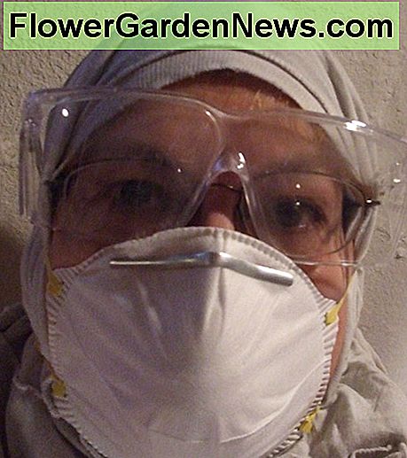 Für Arbeiten über dem Kopf bei der Reinigung von Schimmelpilzen sollten Sie ein Atemschutzgerät, eine Schutzbrille und eine Abdeckung für Ihr Haar mitbringen. For working above your head on mold cleaning, include a respirator, goggles and a covering for your hair.