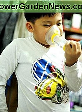 Mi hijo cuando se trata de asma My son when dealing with asthma