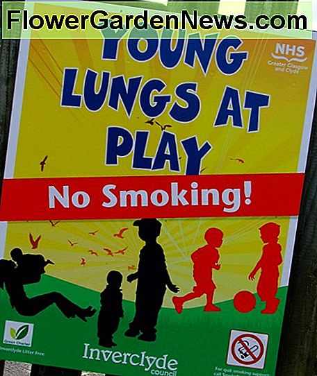Inverclyde Council fue el primero en el Reino Unido en designar algunos parques de juegos como áreas para no fumadores. Inverclyde Council was the first in the UK to designate some play parks as no smoking areas.