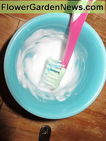 ฉันกำลังผสมโซดากับน้าอุ่นเล็กน้อย I'm mixing the baking soda with a little bit of warm water.