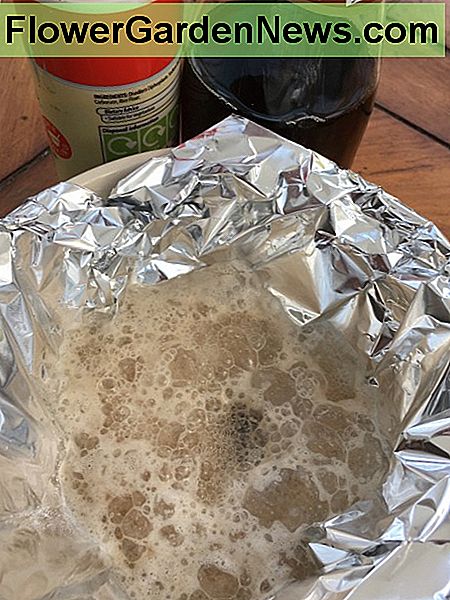 Die Lösung wird schäumen und sprudeln. The solution will froth and bubble.