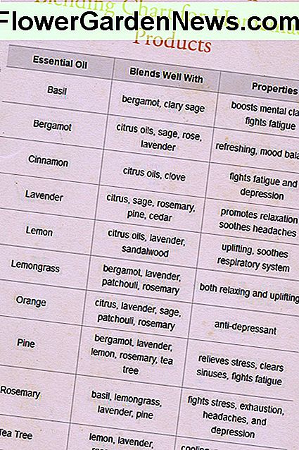 Esterinių aliejų poros ir savybės Essential Oil pairings and properties