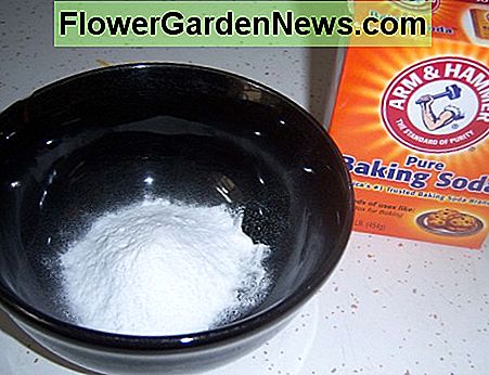 Sie brauchen nicht zu viel Backpulver, um genug Platz für ein Gasherd mit vier Brennern zu haben. You won't need too much baking soda to make enough past for a four burner gas stove top.