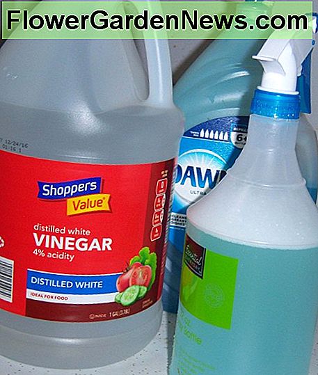 Die fertige Duschspray mit dem weißen Essig und Geschirrspülmittel. The completed shower spray with the white vinegar and dish washing detergent.