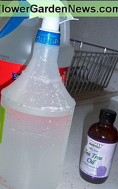So sieht Ihr Küchenreiniger aus, wenn Sie fertig sind. Here's what your kitchen cleaner will look like when you've finished.