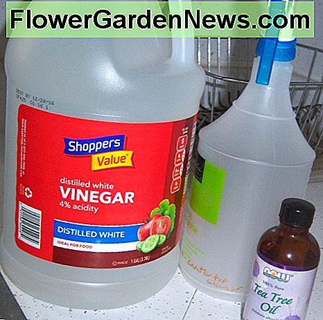 Die Materialien, die Sie für Ihren Küchenreiniger brauchen. The materials you'll need for your kitchen cleaner.