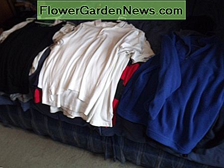 Beginn unserer Kleidung für Goodwill aus dem Schrank. Start of our clothes for Goodwill from the closet.
