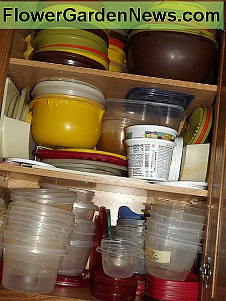 Aufbewahrungsbehälter meiner Verlobten Mutter. Ein paar zu viele. My fiance's mom's storage containers. A few too many.