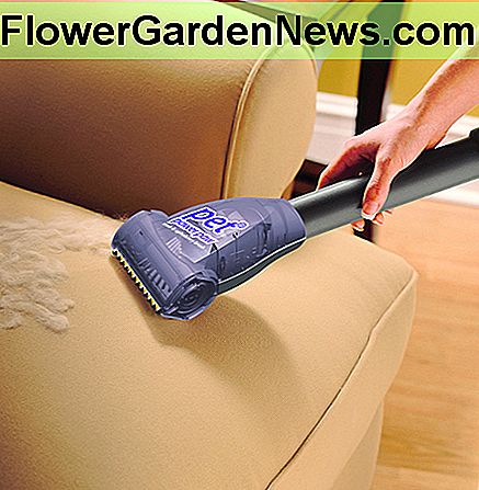 Čiulpti naminių gyvūnų plaukų iš baldų apmušalų (nuotrauka mandagiai, kurią pateikė Sucking Pet Hair from Upholstery (Photo courtesy by LCWA1 from Flickr)
