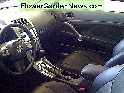 Automobilių apmušalai ( Automobile Upholstery (Photo courtesy by jasonEscapist from Flickr)