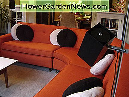Minkšti sofos ( Upholstered Couch (Photo courtesy by mobil'homme from Flickr)