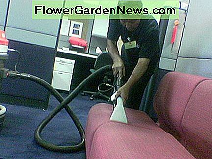 Minkštieji sofos valymas ( Cleaning the Upholstered Couch (Photo courtesy by askmaxvalue from Flickr)